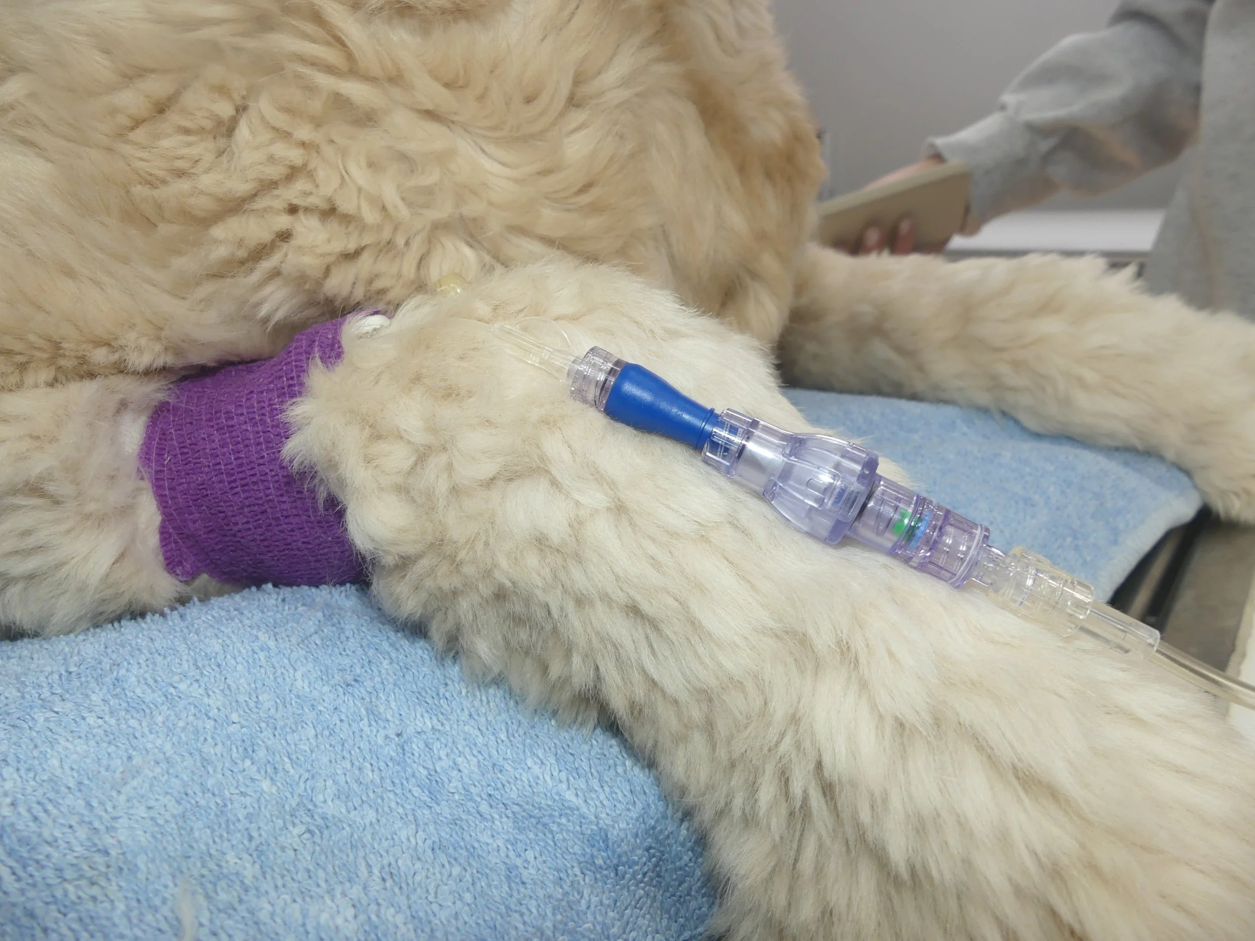 SafeBreak Vascular Vet Lineus Medical